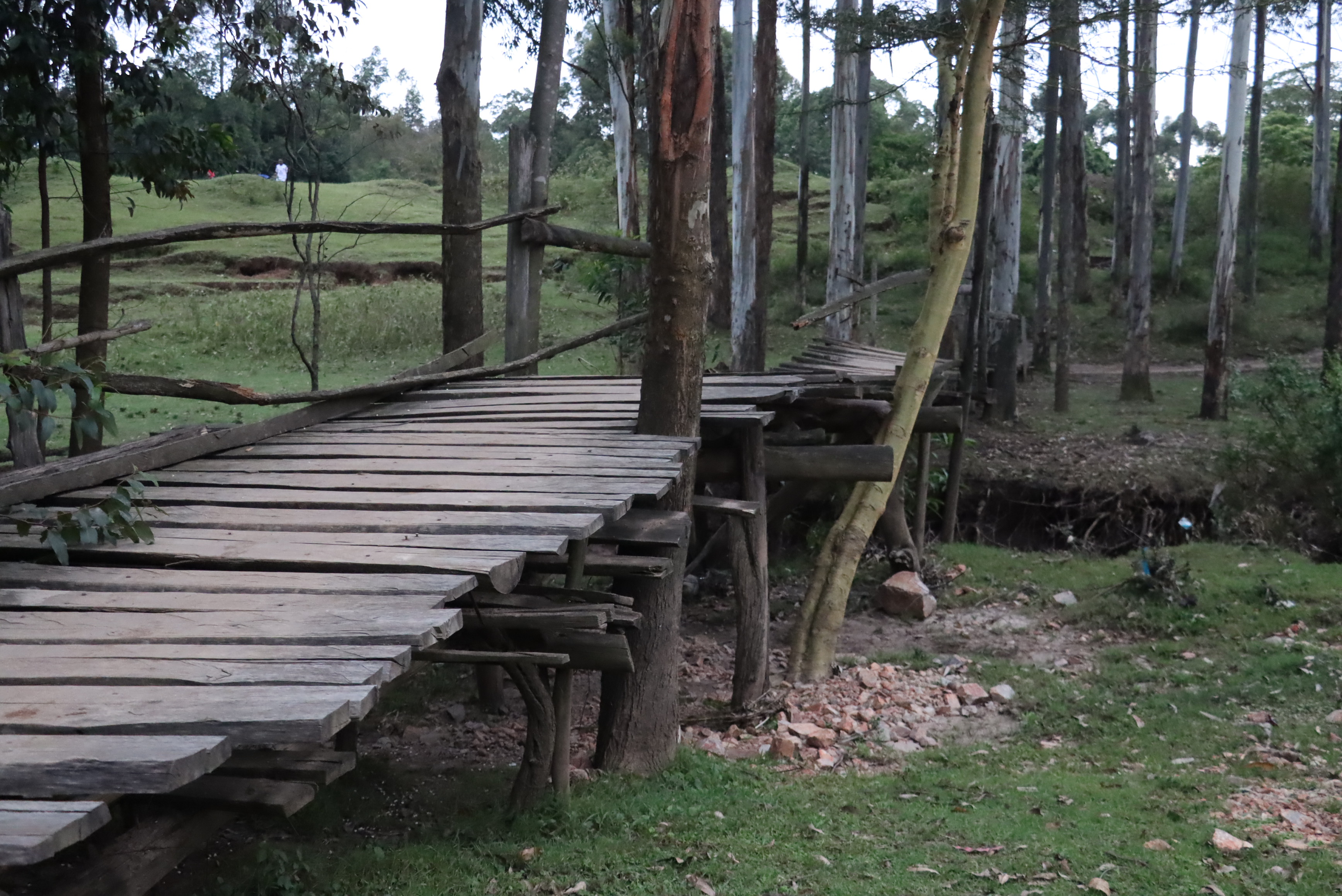A rickety bridge that hundreds of Bomet University students rely on daily to access their residence and the campus. Studenst have raised safety concerns and demanded action from local leaders. Photo/Kipyegon Rono