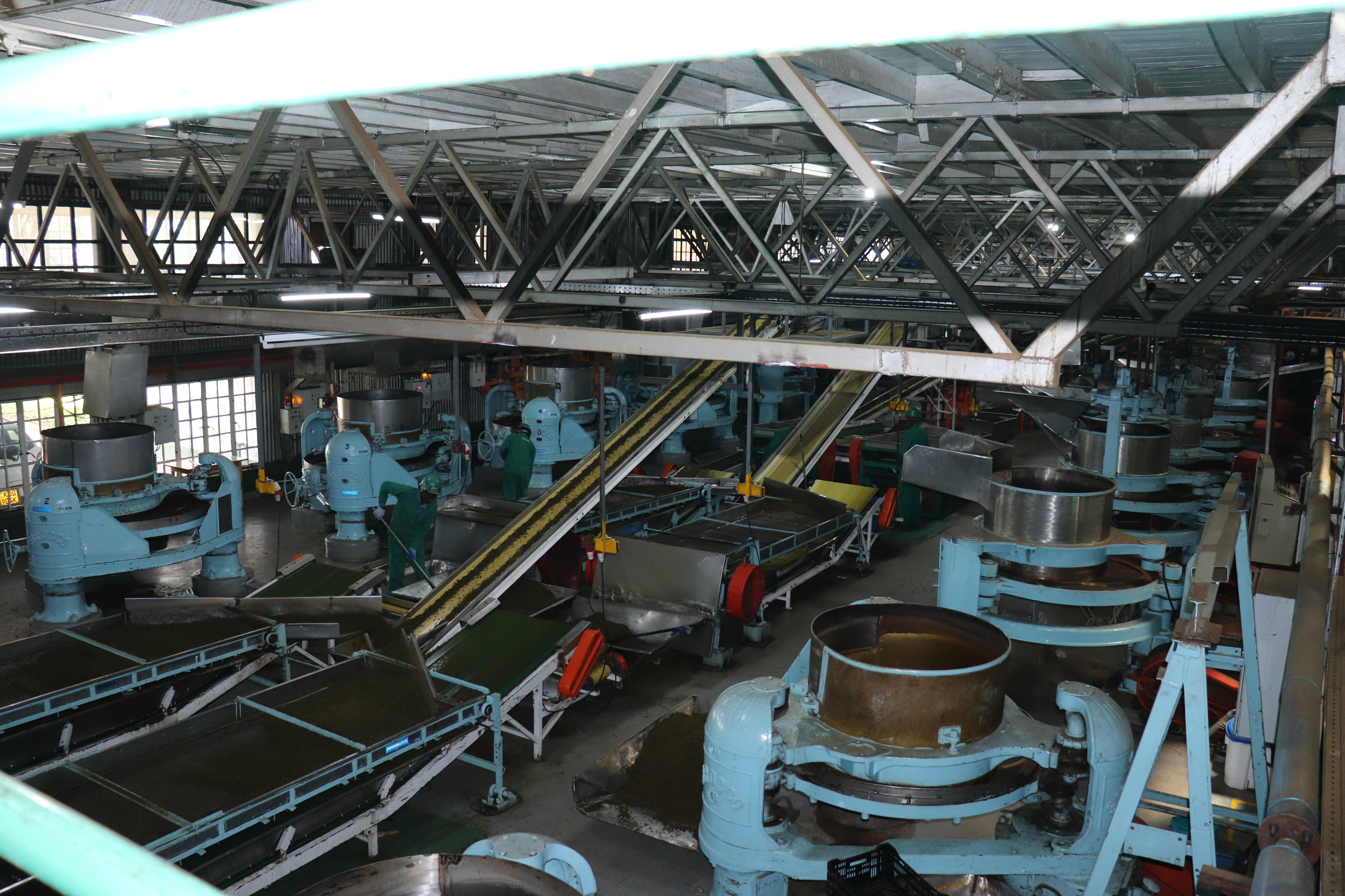 A section of teh expanded line for production of Orthodox Tea at Kitumbe Tea Factory managed by Browns Plantation.Photo/Gilbert Kimutai