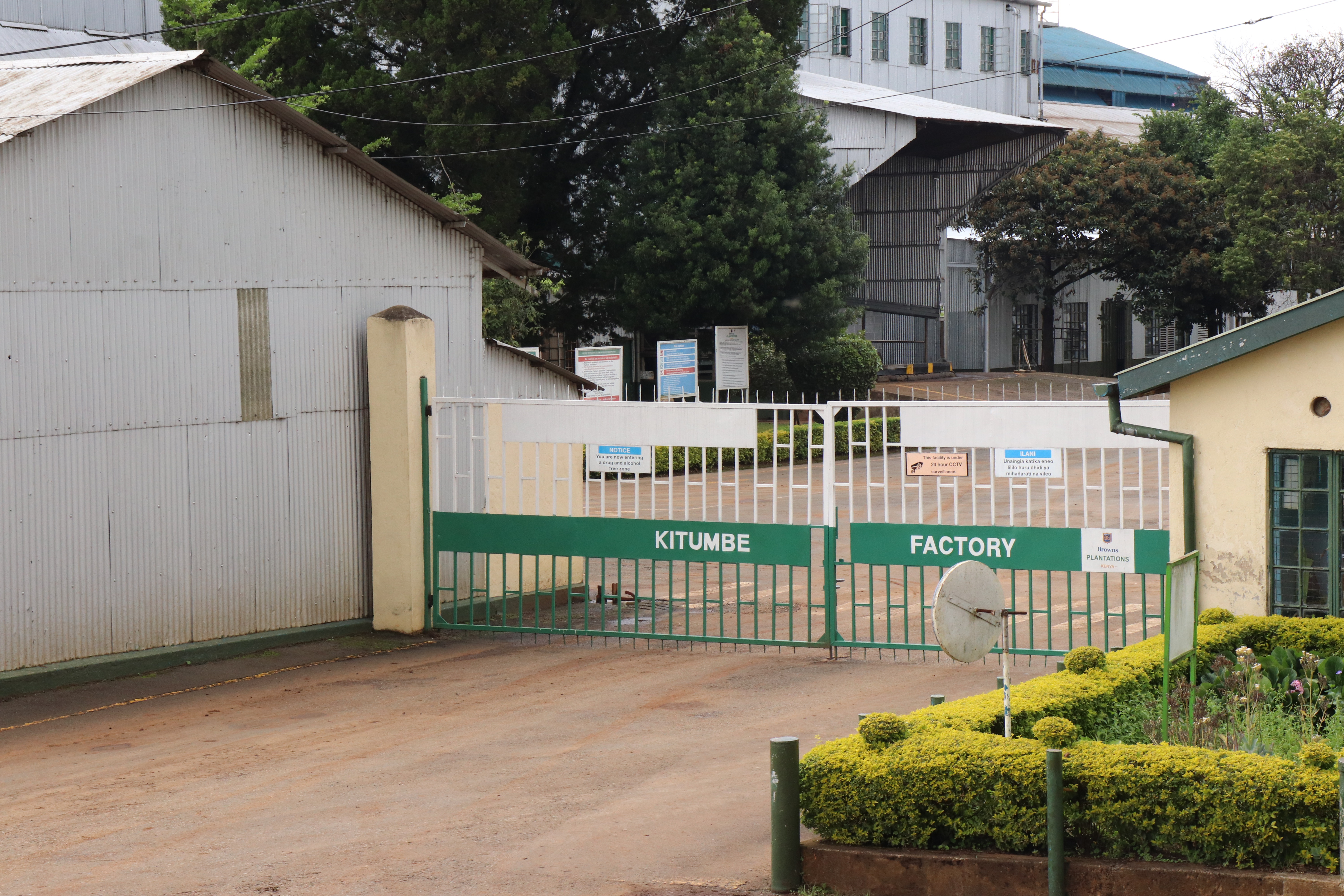 Browns Plantations Bets Big on Premium Orthodox Teas.