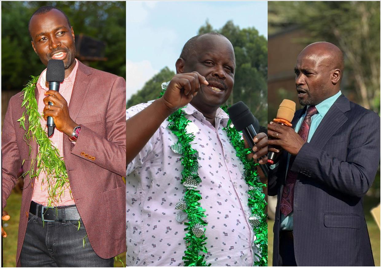 The UDA Tower of Babel: Democracy or Consensus?