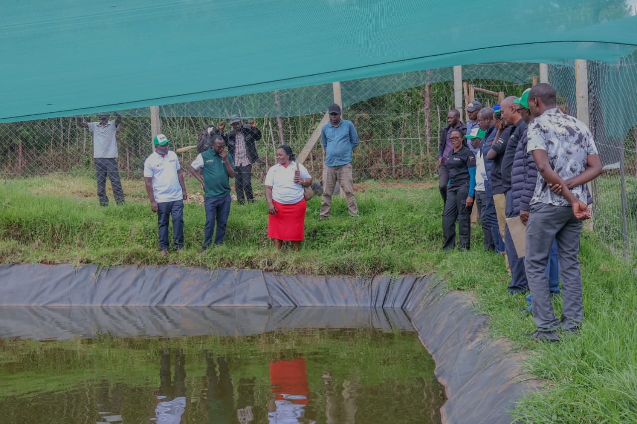 National Treasury Project Implementation Unit with Bomet County Climate Change Unit officials during a vistto Ngainet Visionary Youth Group Fishpond on a project inspection mision of FLLoCA funded projects. Photo/ Kipyegon Chirchir