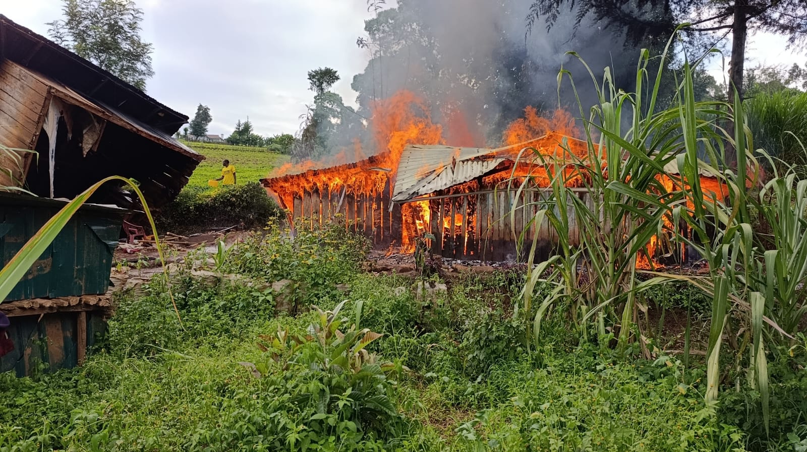 fire consumes house where two children had been left by their mother while on her duties in the farm