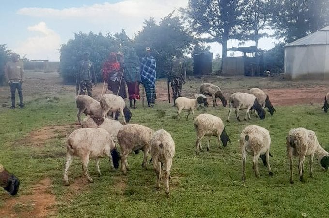 Joint Community and Security Effort Leads to Recovery of Stolen Goats in Laikipia County